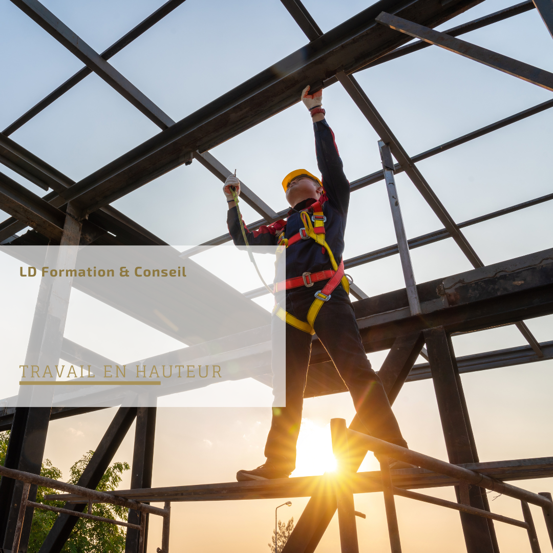 Formation travail en hauteur — situation de formation en entreprise